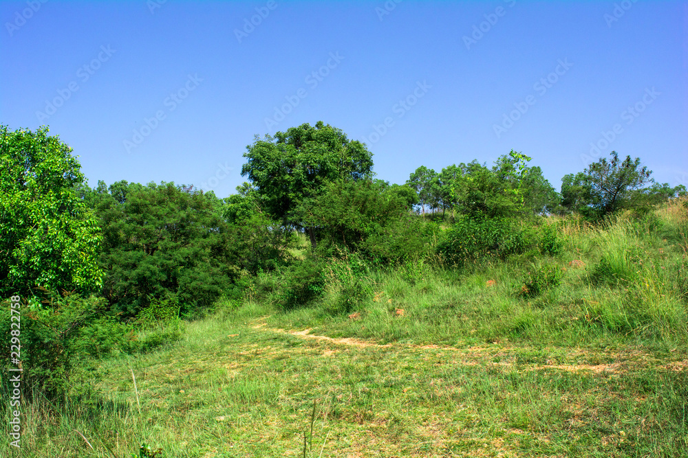 mountain range and blue sky mountain range and blue sky