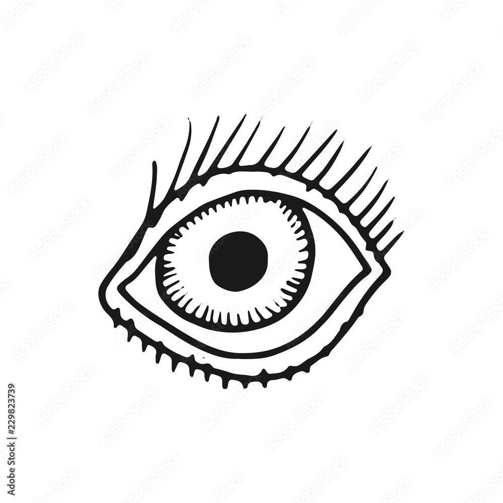 Fototapeta premium eye with eyelashes sketch icon. isolated object on white background