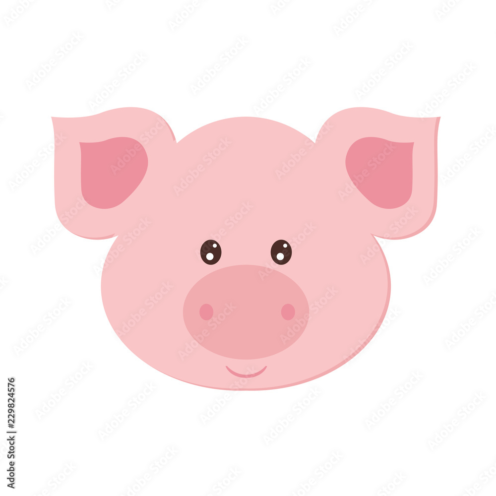 beautiful flat illustration pig beautiful flat illustration pig