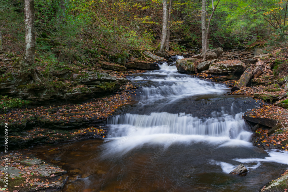 Obraz premium Waterfalls for Life