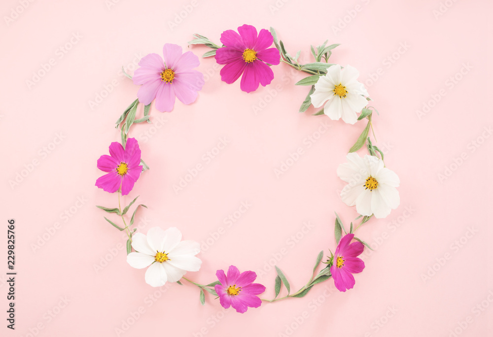 fresh Flowers composition. Wreath made of various pink flowers kosmey on pink background.