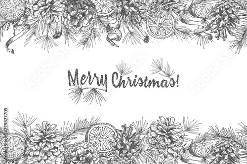 Christmas background Realistic Botanical ink sketch of fir tree branches with pinecone isolated on white
