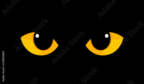 Photography Yellow cat eyes in darkness