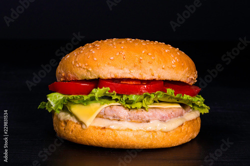 Burger with chicken meat