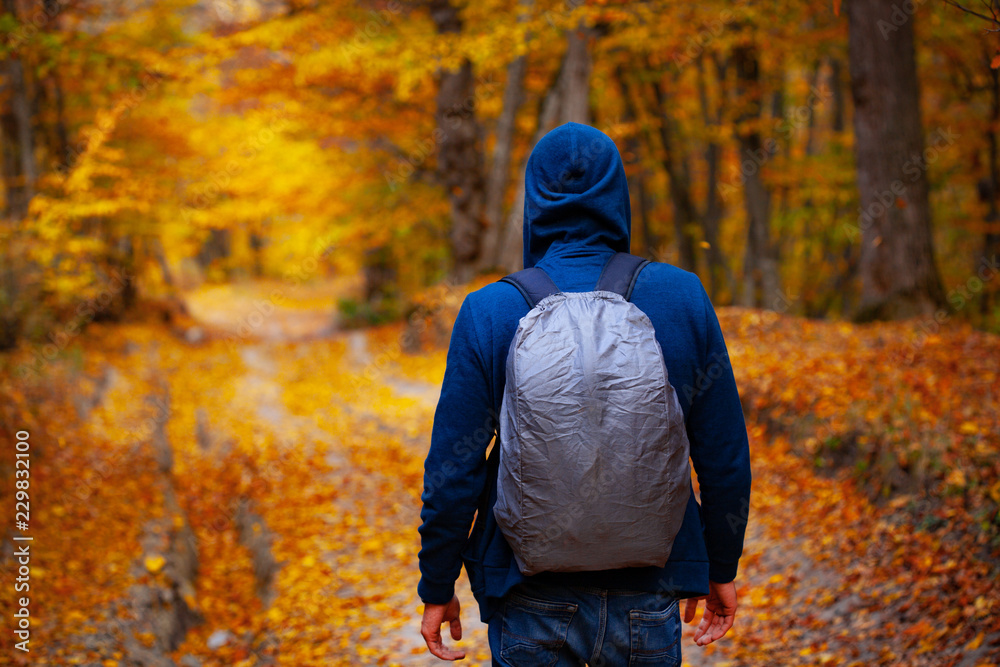 man in autumn forest road man in autumn forest road