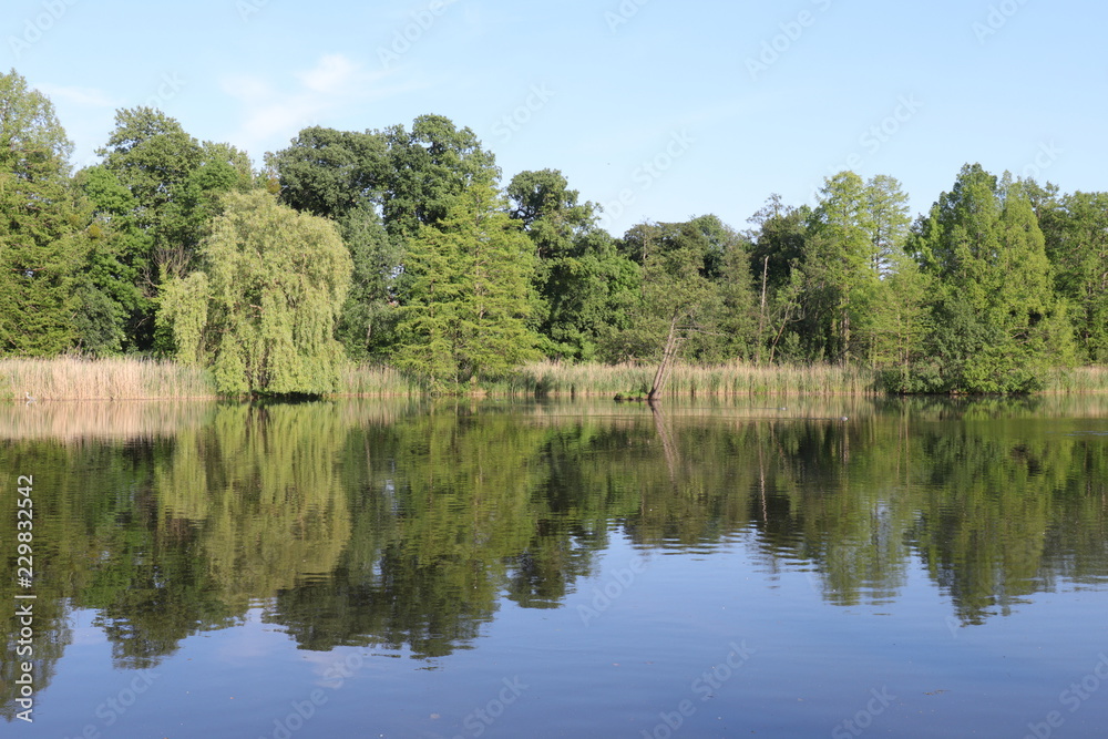lake with reflection in the forest