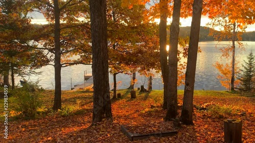 Early morning sun exposes beautiful fall colors. photo