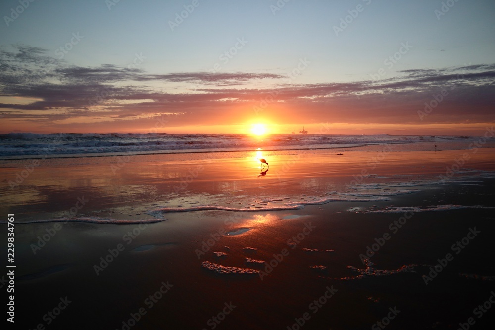 vibrants orange beach sunset