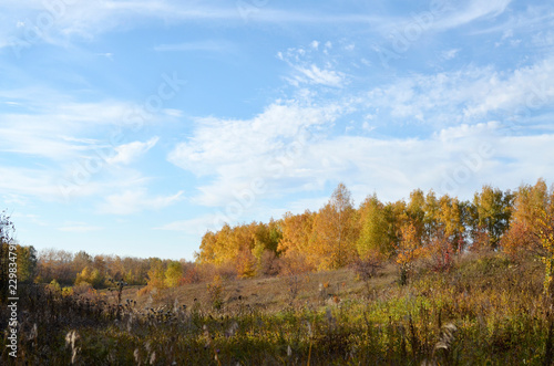 Landscape of the autumn Russian plateau