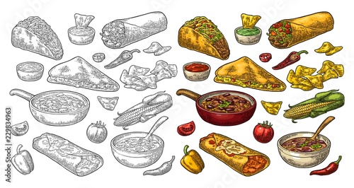 Mexican traditional food set with Guacamole, Enchilada, Burrito, Tacos, Nachos