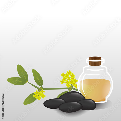  Simmondsia chinensis , Jojoba oil glass bottle  , essential oil aromatherapy, hair care, skin care , neutral therapy.Health care alternative medicine.
