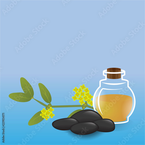  Simmondsia chinensis , Jojoba oil glass bottle  , essential oil aromatherapy, hair care, skin care , neutral therapy.Health care alternative medicine.
