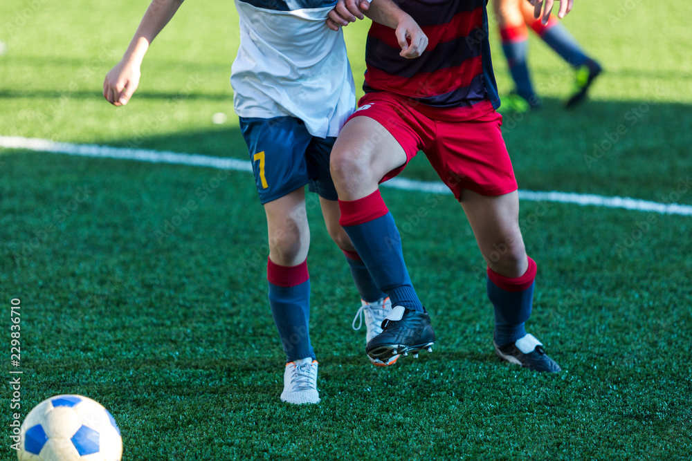 football teams - boys in red, blue, white uniform play soccer on the green field. boys dribbling. dribbling skills. Team game, training, active lifestyle, hobby, sport for kids concept football teams - boys in red, blue, white uniform play soccer on the green field. boys dribbling. dribbling skills. Team game, training, active lifestyle, hobby, sport for kids concept