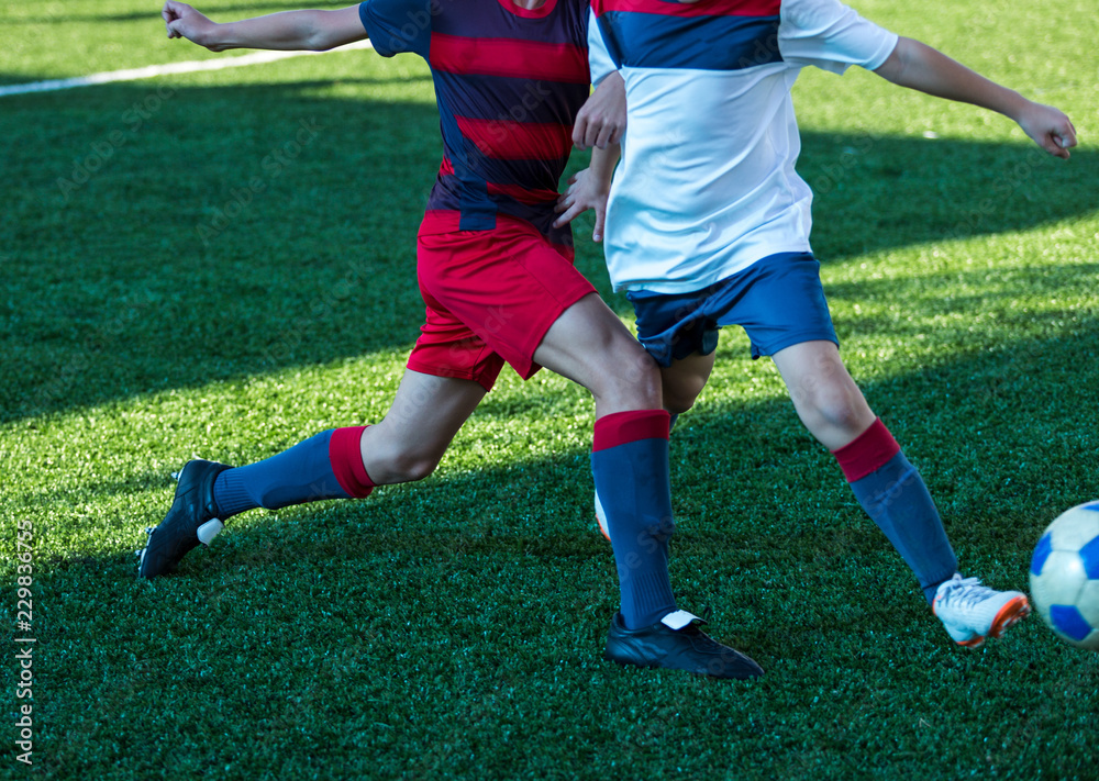 football teams - boys in red, blue, white uniform play soccer on the green field. boys dribbling. dribbling skills. Team game, training, active lifestyle, hobby, sport for kids concept football teams - boys in red, blue, white uniform play soccer on the green field. boys dribbling. dribbling skills. Team game, training, active lifestyle, hobby, sport for kids concept