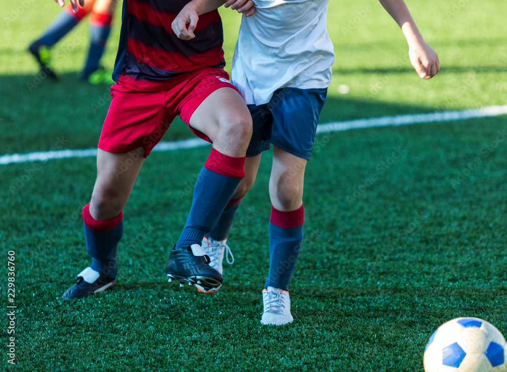 football teams - boys in red, blue, white uniform play soccer on the green field. boys dribbling. dribbling skills. Team game, training, active lifestyle, hobby, sport for kids concept football teams - boys in red, blue, white uniform play soccer on the green field. boys dribbling. dribbling skills. Team game, training, active lifestyle, hobby, sport for kids concept