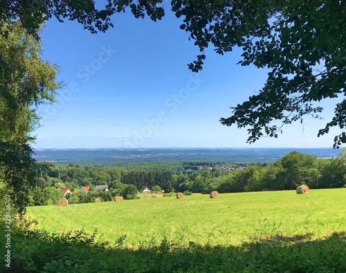 Biosphäre Bliesgau im Spätsommer photo