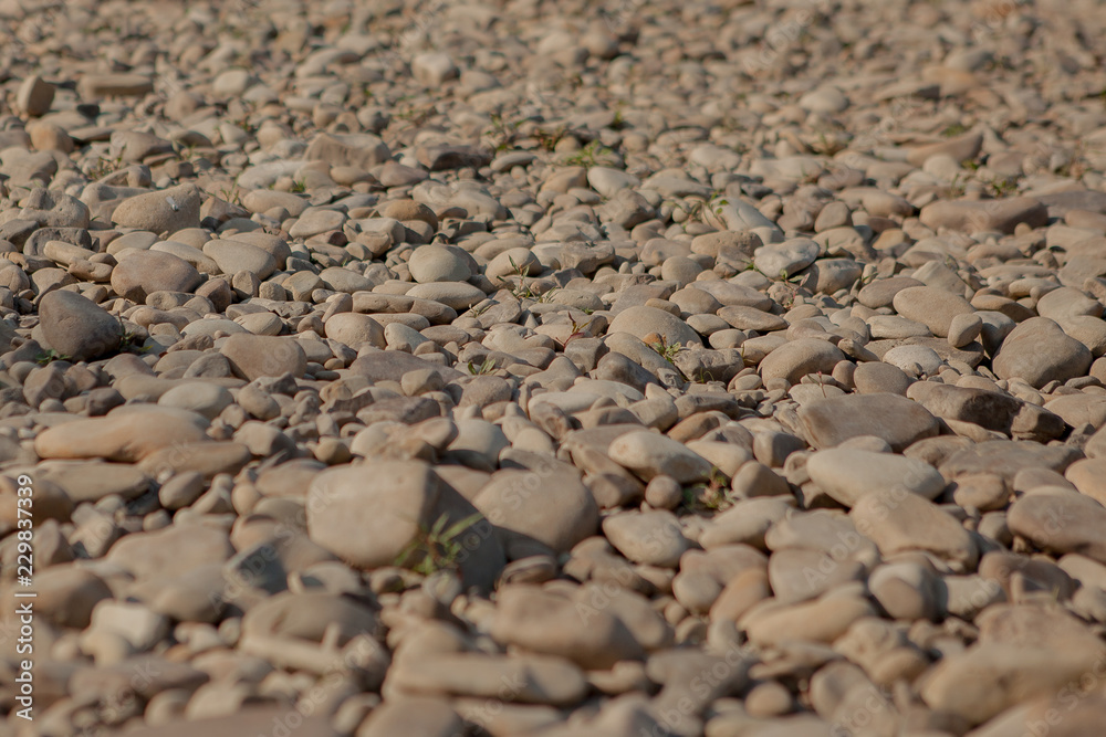 Gray stones of different sizes, stone background, stones on the beach Gray stones of different sizes, stone background, stones on the beach