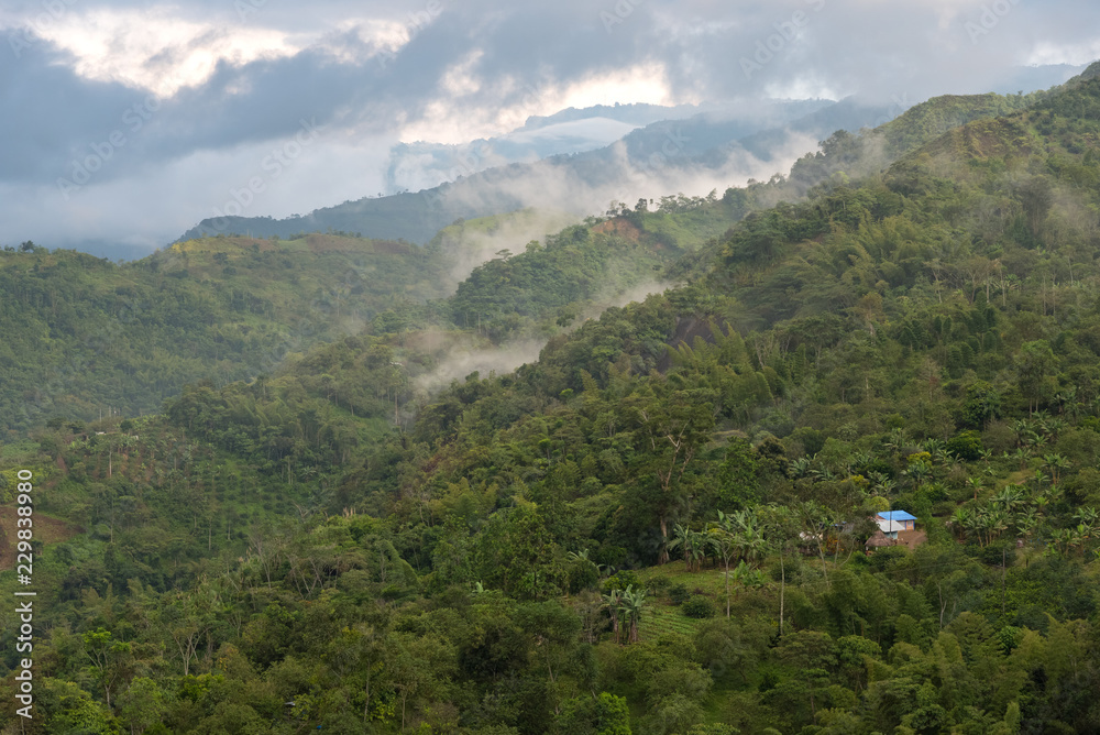Country house between an immense ecosystem of trees and wildlife on a morning mist in the countryside. Colombia