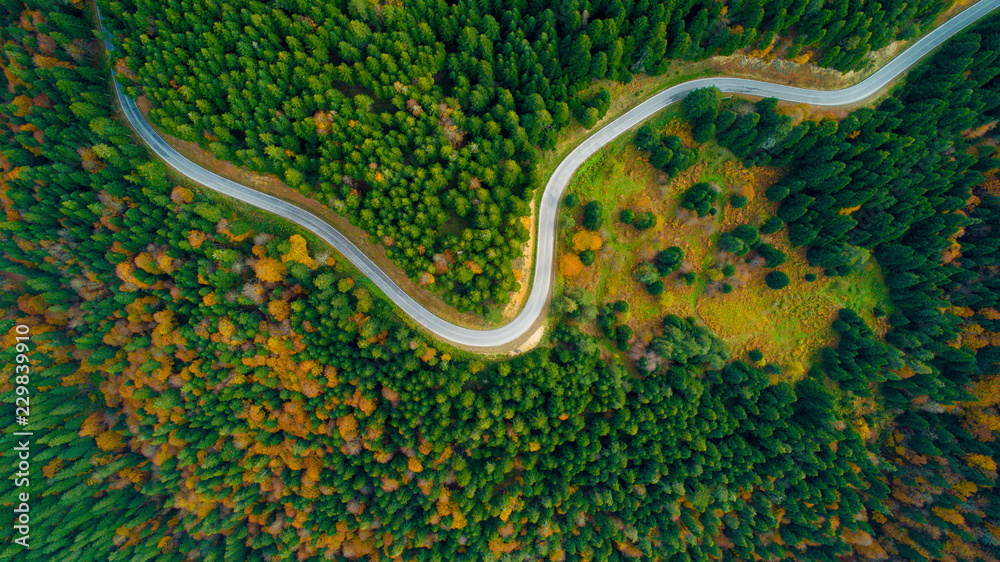 Obraz premium Malowniczy widok z lotu ptaka, patrząc na uskrzydloną drogę w środku kolorowego lasu jesienią.