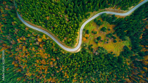 Scenic aerial view looking at a winging road in the middle of the colorful forest during fall season.