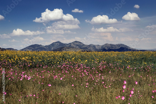 PAISAJE