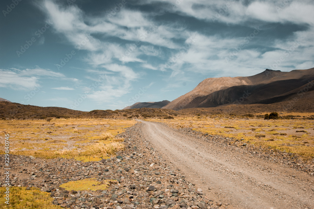 Road to the mountains