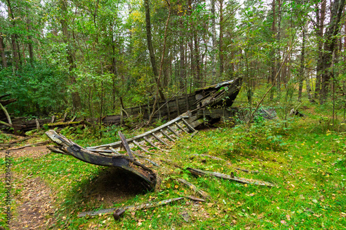 Old abandoned wooden fishing boat in the forest