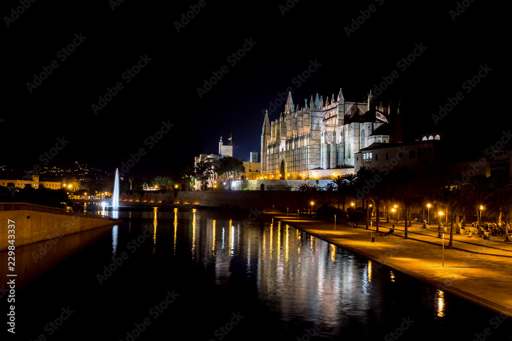 Night panoramic of the Cathedral of Palma de Mallorca and the Almudaina Palace with its illuminated fountain - Balearic Islands, Spain. Lights are reflecting on the pool.