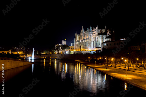 Night panoramic of the Cathedral of Palma de Mallorca and the Almudaina Palace with its illuminated fountain - Balearic Islands, Spain. Lights are reflecting on the pool.