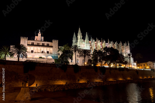Night panoramic of the Cathedral of Palma de Mallorca and the Almudaina Palace - Balearic Islands, Spain. With reflection over the water and peoples walking along the lake.