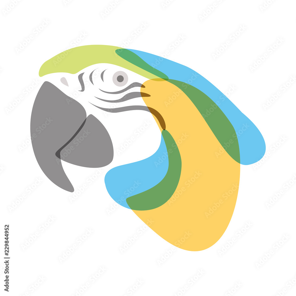 Stylized illustration of a Macaw’s head with minimalist watercolor effect