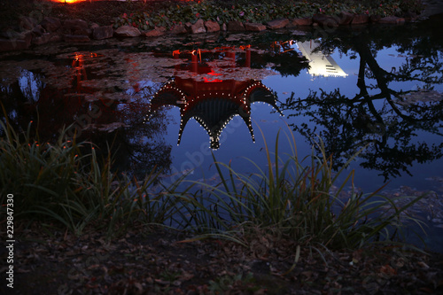 Fototapeta Naklejka Na Ścianę i Meble -  reflection of trees in water at sunset