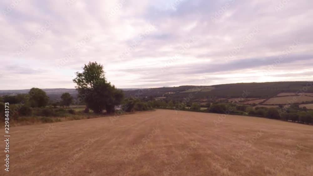 Flying out across a warm dry field. The hot summer has dried out the fields and caused them to become brown. Flying out across a warm dry field. The hot summer has dried out the fields and caused them to become brown.
