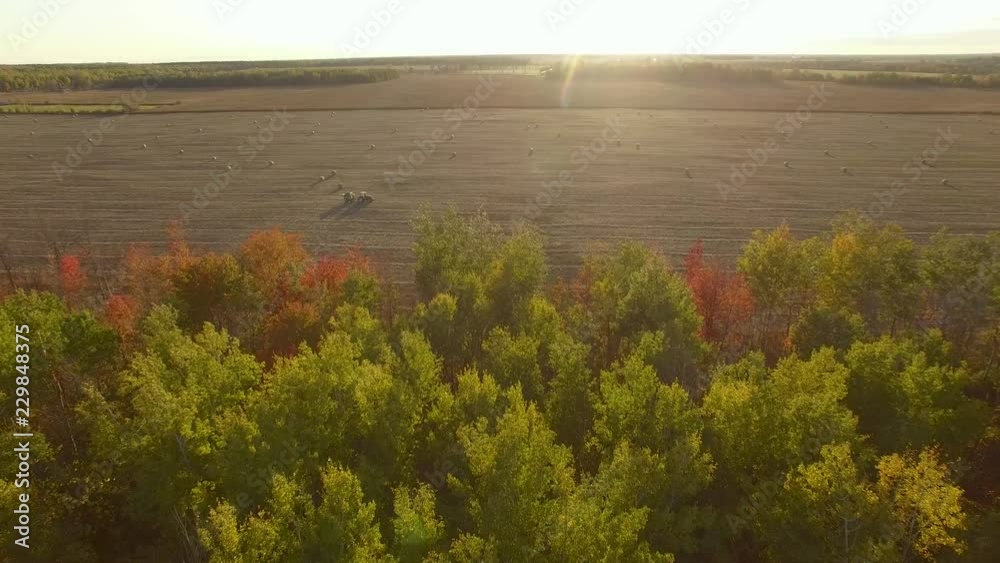 Wind blows trees with leaves in Autumn colors as camera moves forward
