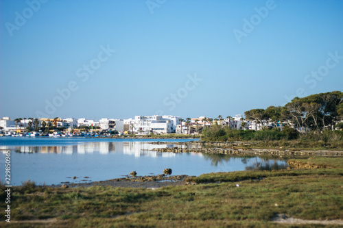 Isola dei Conigli (Porto Cesareo)