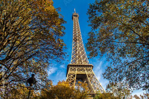 Eiffel tower in Paris, France. The tower between the trees on a sunny afternoon of autumn with blue sky. © naproadavida_npv