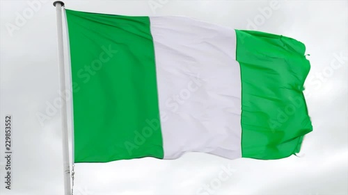 Nigerian flag fluttering in the wind in slow motion with a white background photo