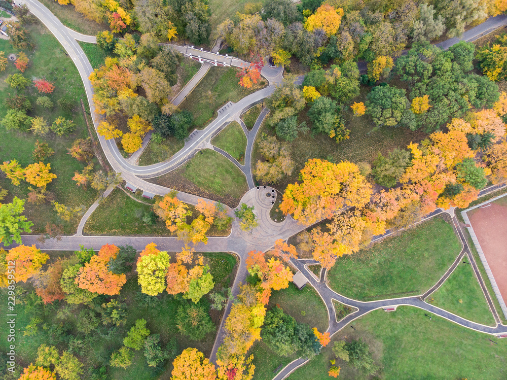 aerial view of park landscape with footpaths, yellow trees and green lawns 