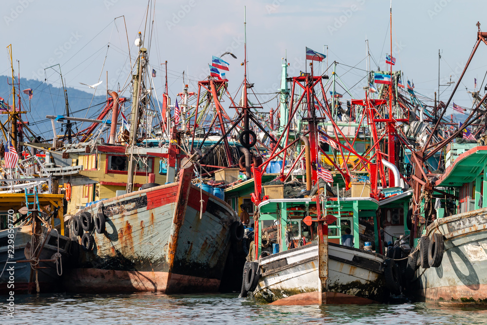 A fleet of fishing boats moored at port in Asia A fleet of fishing boats moored at port in Asia