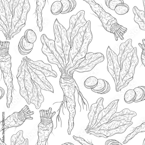 Horseradish. Plant. Leaves, root. Background, wallpaper, texture, seamless. Sketch, monophonic