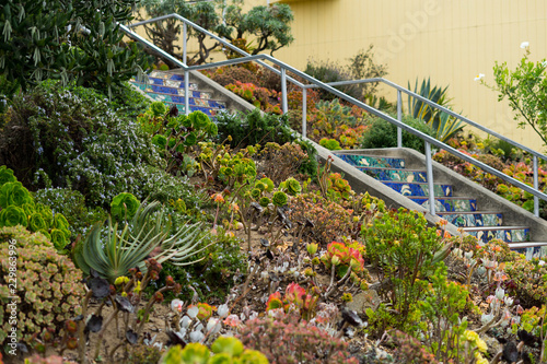 San Francisco, CA, USA - 09/14/2018: The 16th Avenue Tiled Step Folk Art Project in San Francisco. The 16th Avenue Tile Stairs Project is a community collaboration that creates a star-themed mosaic st