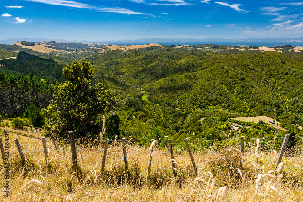 Naklejka premium bewaldete Waiheke Insel vor den Toren Aucklands, Neuseeland