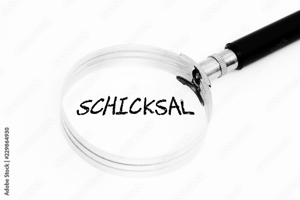 Schicksal im Fokus