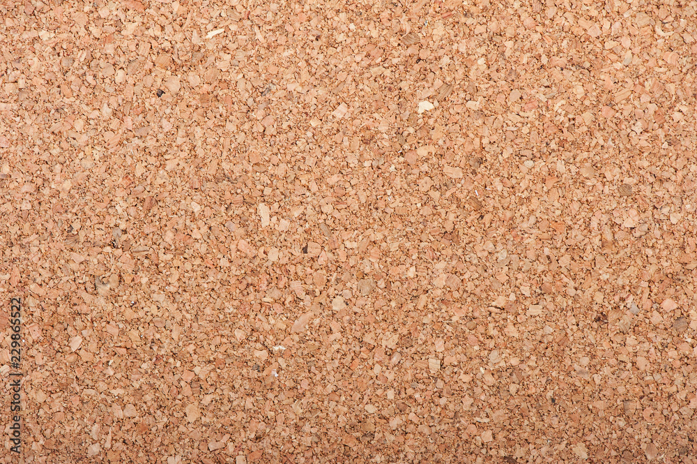 Large piece of corkboard Large piece of corkboard