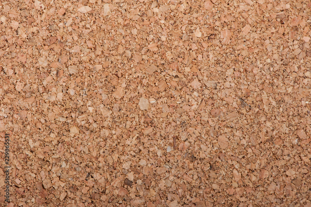 Large piece of corkboard Large piece of corkboard