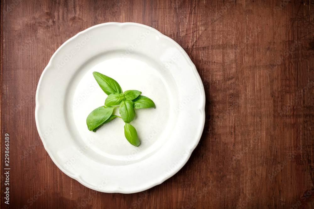 An overhead photo of a white plate with fresh basil leaves, shot from above on a dark rustic wooden background with a place for text An overhead photo of a white plate with fresh basil leaves, shot from above on a dark rustic wooden background with a place for text