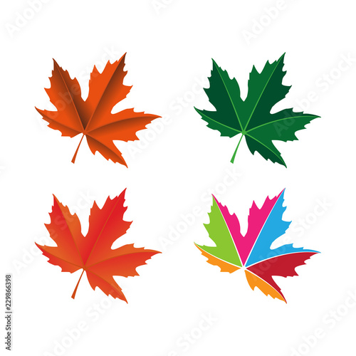 maple leaf logo icon design template vector
