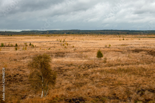 Rehdener Geestmoor 2018