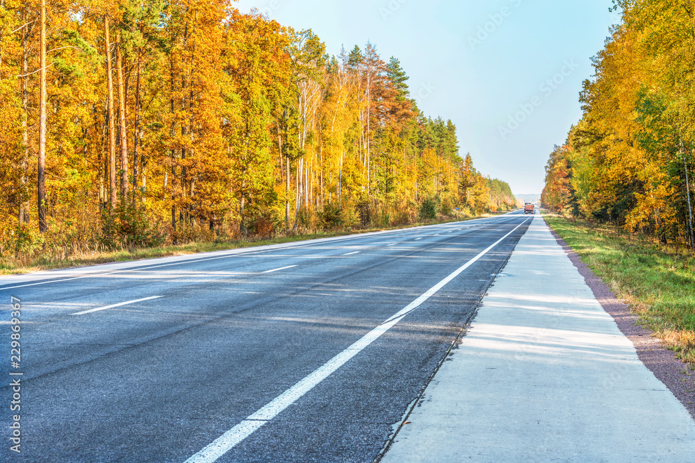 Autumn, forest, nature. Bright morning on the highway Kiev-Warsaw in a colorful forest with sun rays through the branches of trees. Nature landscape with sunlight. Autumn, forest, nature. Bright morning on the highway Kiev-Warsaw in a colorful forest with sun rays through the branches of trees. Nature landscape with sunlight.