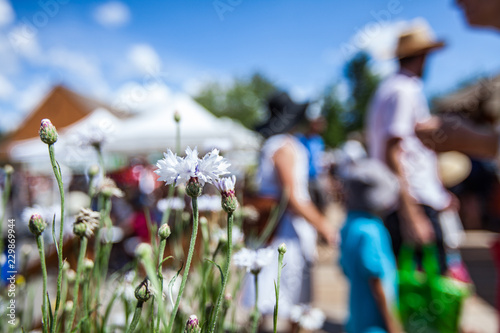 White flowers at the farmer's market with blurry people and food stalls in the background - 1/2 - Closeup picture with vibrant colors, taken outside in a french canadian farmer's market photo